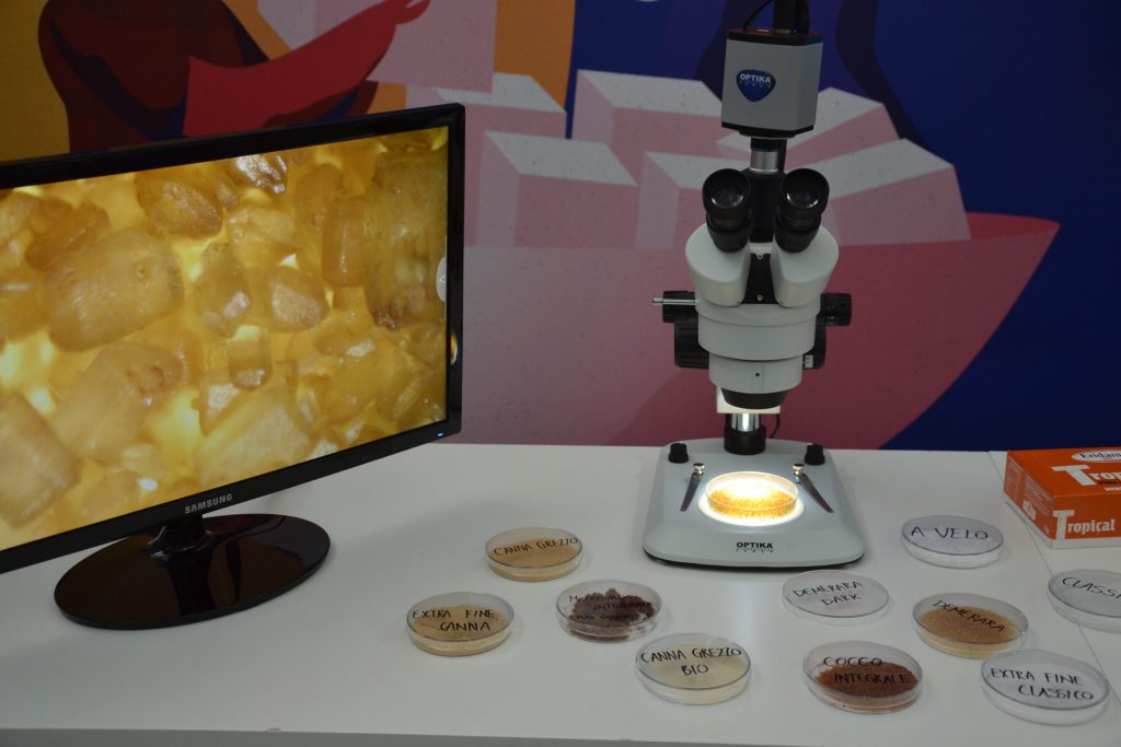 Osserviamo lo zucchero al microscopio
