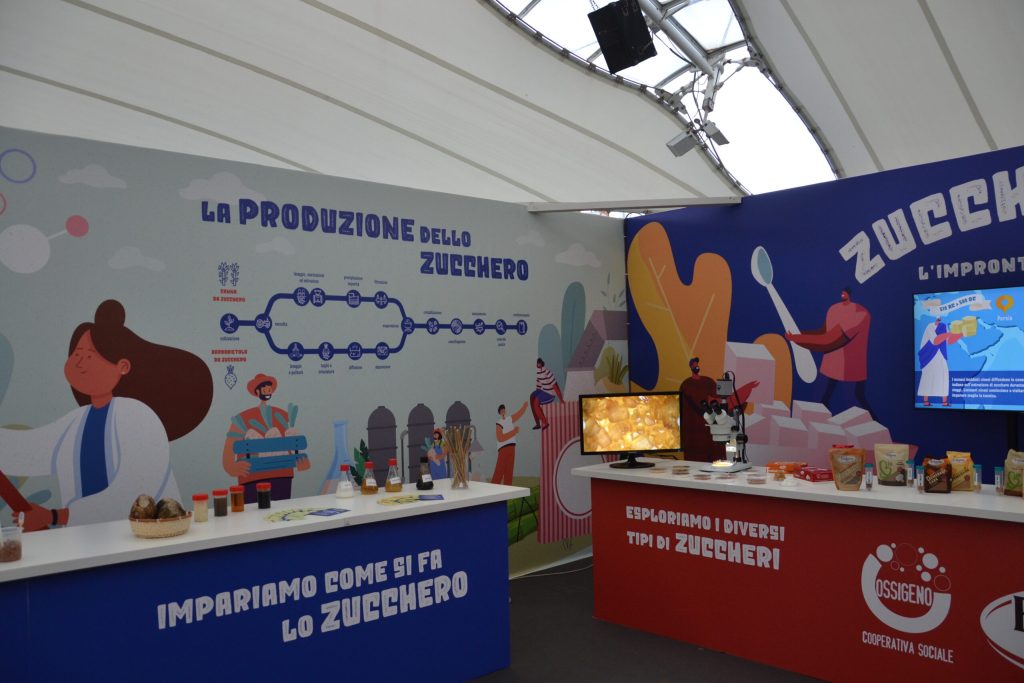 Le fasi produttive dello zucchero da barbabietola e canna da zucchero