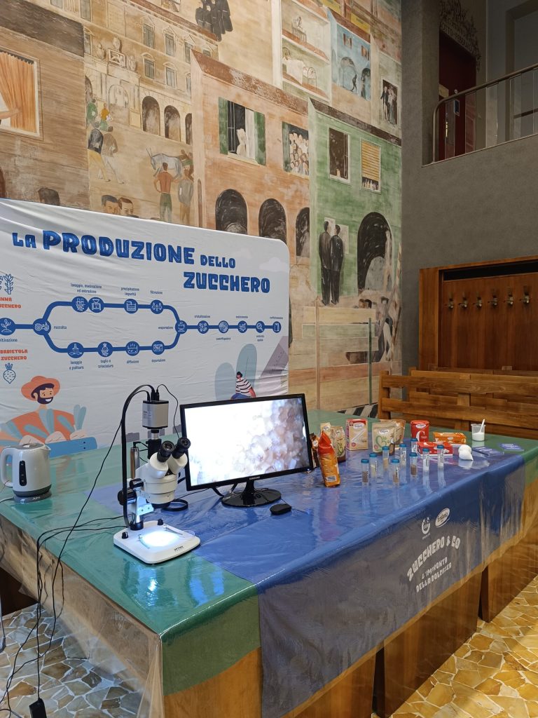 Il banco con il microscopio, i campioni e i barattoli dell'esperimento sullo zucchero